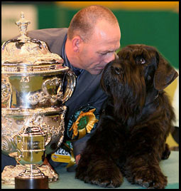 Giant Schnauzer Champion Philip with  Trophy