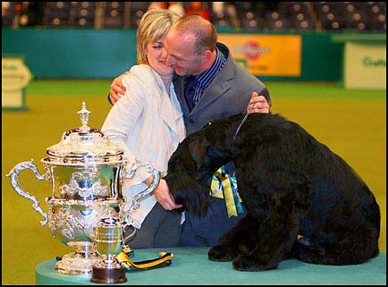 Giant Schnauzer Champion Philip with Crufts Trophy