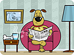 dog reading schnauzer news
