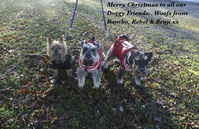  Happy Christmas, everyone.. 