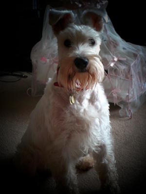 The one and only  Murphy!