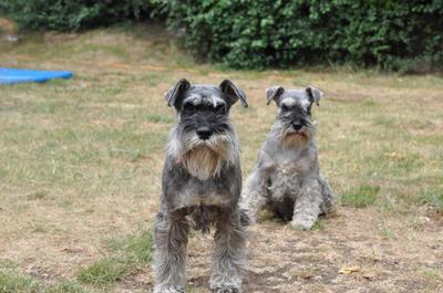 Stanley and Jimmy