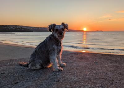 recent break in cornwall, uk