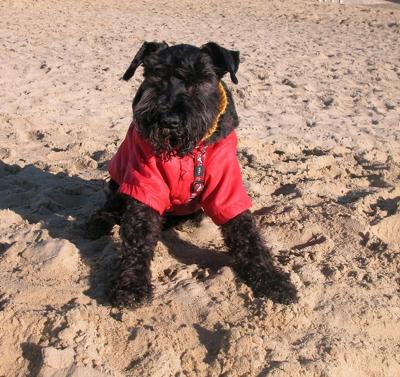 My Last Outing to the Beach 