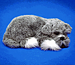 plush Schnauzer