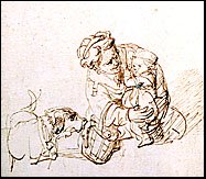 A Schnauzer in a Rembrandt sketch?