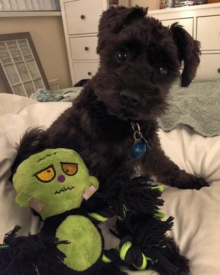 Looking for Friend!