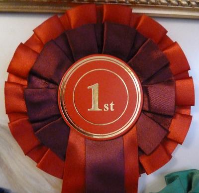 A Red Rosette.. my 1st ..